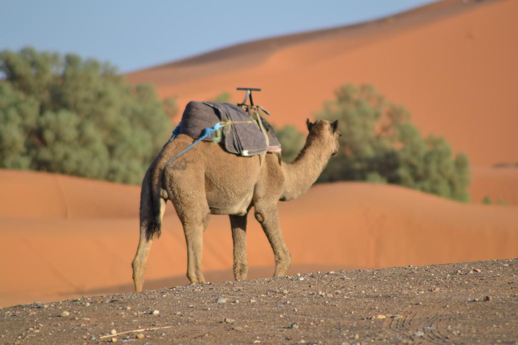 Luxury Maktoub Hotell Merzouga Exteriör bild